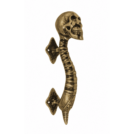 Solid Brass Skull Spine Door Pull Handle 28cm 11" Inch Gothic Antique Vintage Style