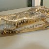 Crocodile skull solid brass large heavy decoration stunning hand made 365mm statue head jaw