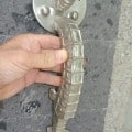 ery large SEAHORSE solid brass SILVER PLATE door old style heavy house PULL handle 16.1/2"