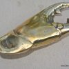 MUD CRAB CLAW shaped beer Bottle Opener solid polished heavy brass amazing 6"