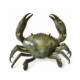 Amazing Large Mud Crab Statue – Solid Brass (36 cm 15” Wide)