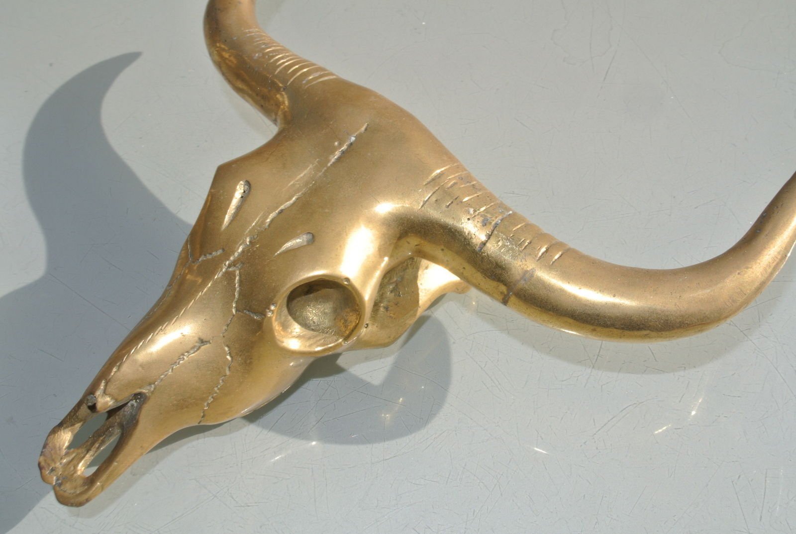 small BUFFALO head skull solid brass polished wall statue horns BULL 20cm COW B 