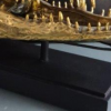 50 cm long large Crocodile skull on black stand solid brass large heavy decoration stunning hand made statue head jaw teeth