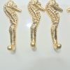 6 small SEAHORSE solid brass HOOKS COAT wall mounted beach old style hook 8.5 cm 3" polished brass