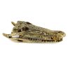 Crocodile skull solid brass 15.1/2 " inch large heavy decoration stunning hand made 365mm statue head jaw teeth hand cast hand made