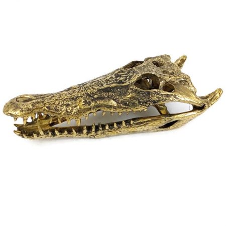Crocodile skull solid brass 15.1/2 " inch large heavy decoration stunning hand made 365mm statue head jaw teeth hand cast hand made