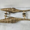 2 MASSIVE version BACK to BACK 19 inch long brass Gorgeous rustic Large Shell Shape Curvy seaside Polished aged Door Pull Handle Grab Old Style 50 cm