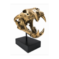 Brass Saber Tooth Tiger Skull Statue on Stand 13” Heavy Brass Jaw Teeth Decor Sculpture