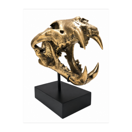 Brass Saber Tooth Tiger Skull Statue on Stand 13” Heavy Brass Jaw Teeth Decor Sculpture