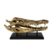 Large Solid Brass Crocodile Skull Statue on Base 20 (50cm) Heavy Handmade Ornament